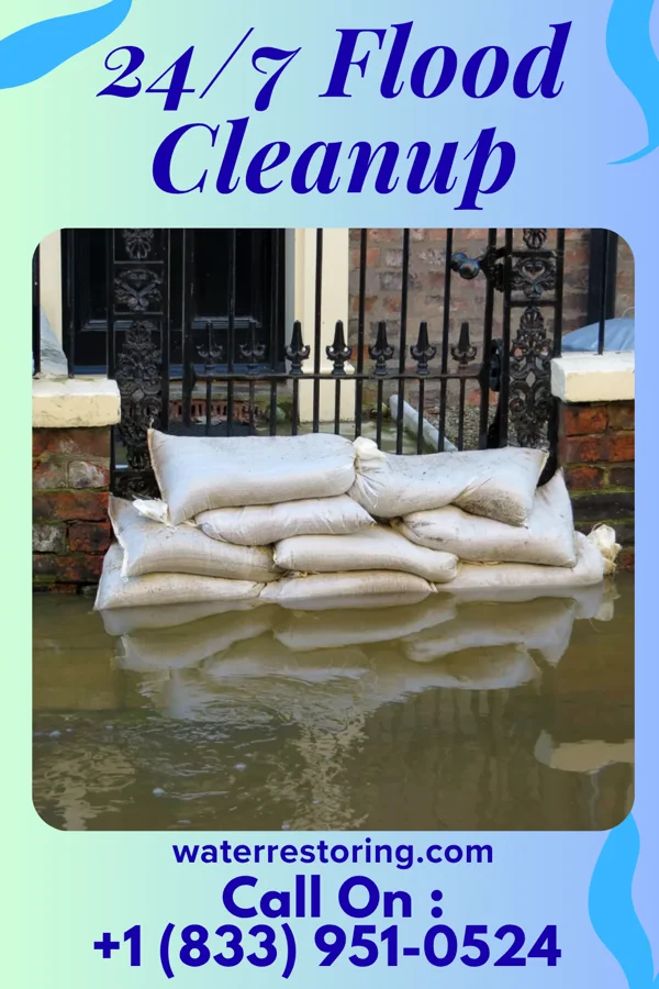24/7 Flood Cleanup in Tremont, PA