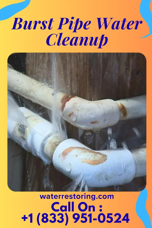 Burst Pipe Water Cleanup in Tremont, PA