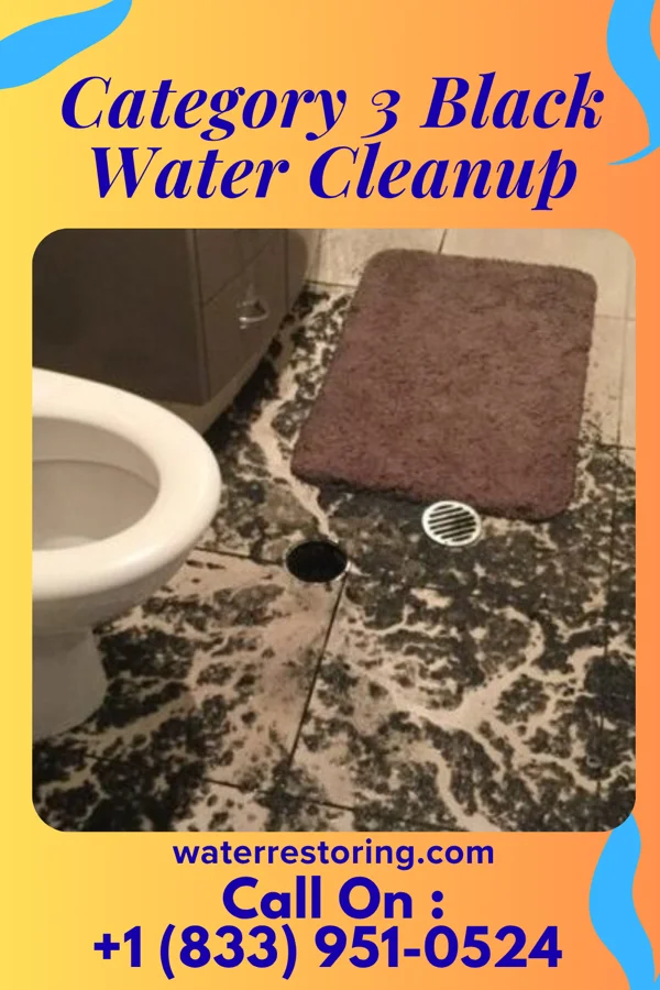 Category 3 Black Water Cleanup in Tremont, PA