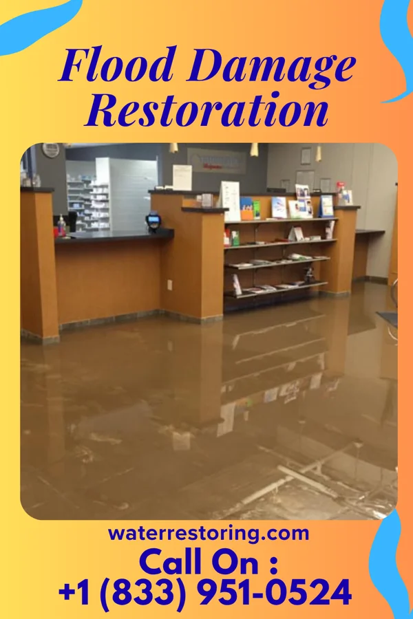Flood Damage Restoration in Tremont, PA